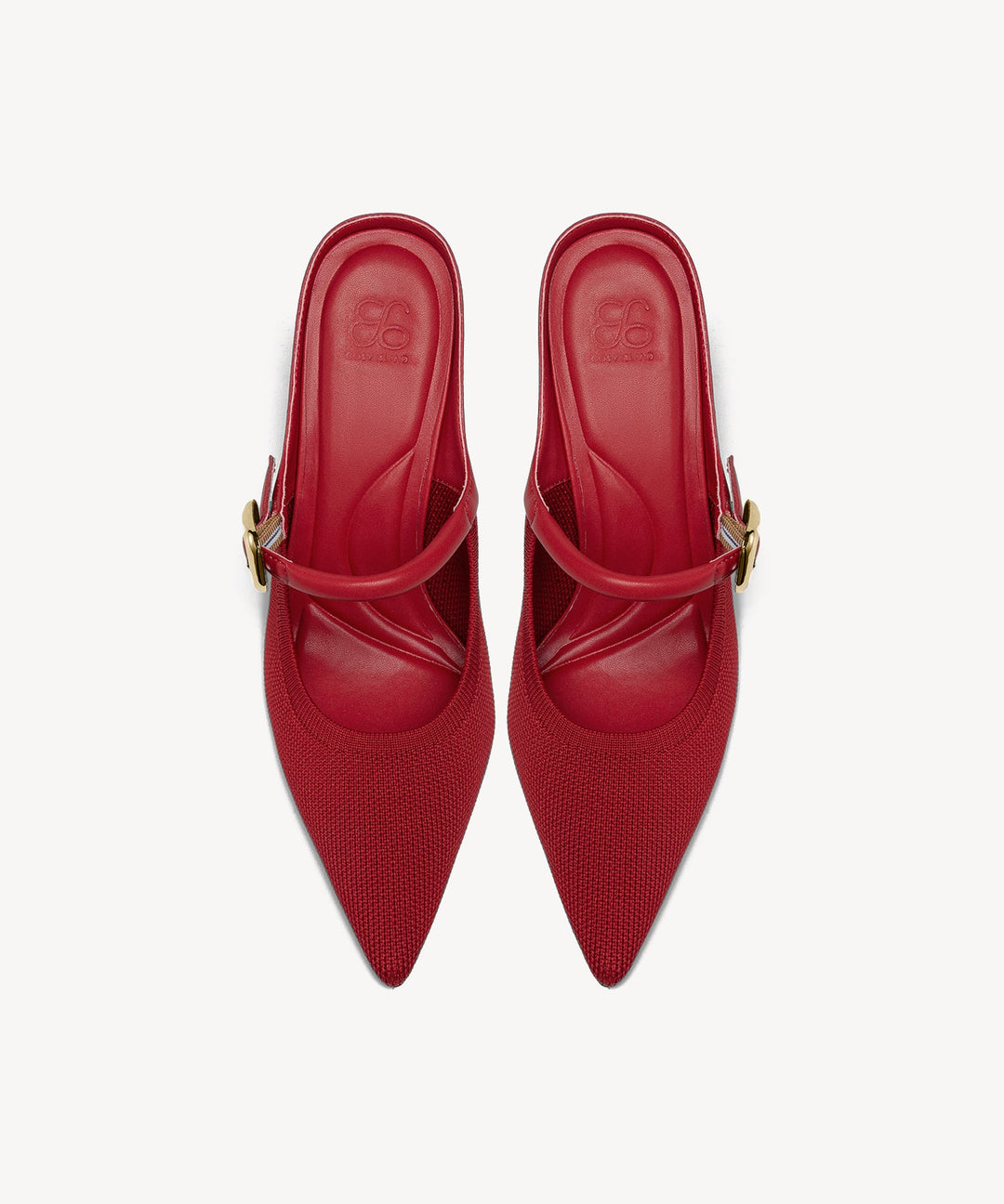 Brittanny Pointed Toe Heeled Mule
