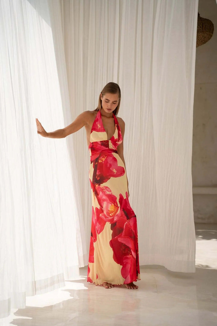 Camoni Polka Dot Diary Maxi Dress